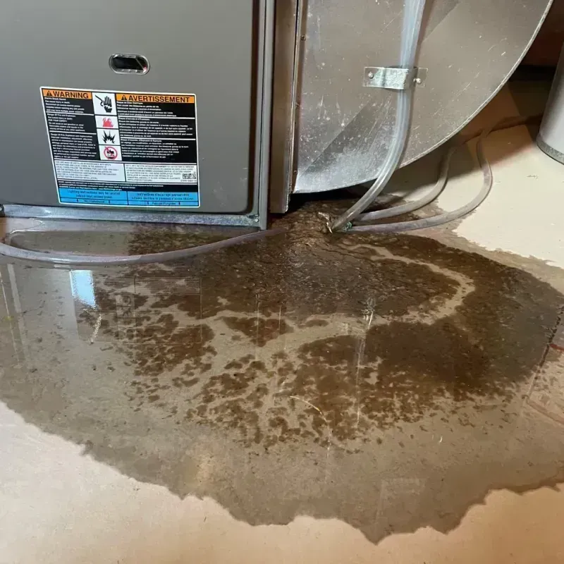 Appliance Leak Cleanup in Weld County, CO